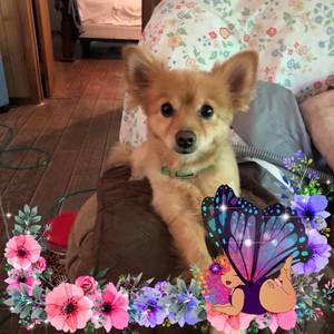 Meet your Posher, Nancy